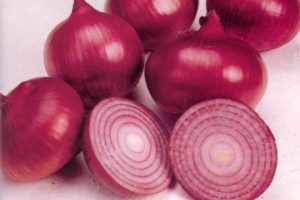 Bursa Ticaret Borsasında soğanın fiyatı ne oldu?