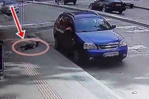 K&uuml;&ccedil;&uuml;k &ccedil;ocuk 5.kattan yere &ccedil;akıldı!