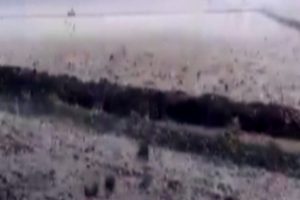 Ceviz b&uuml;y&uuml;kl&uuml;ğ&uuml;nde dolu yağdı