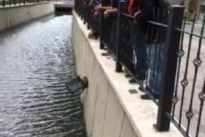 Bursa Gemlik'te dereye d&uuml;şen kedi b&ouml;yle kurtarıldı