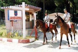 Jandarmanın atları "&ouml;zel" g&ouml;revleri i&ccedil;in hazırlanıyor