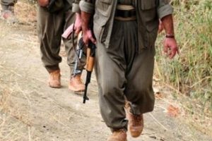 Mardin Valiliği: Nusaybin'de 403 PKK'lı etkisiz hale getirildi