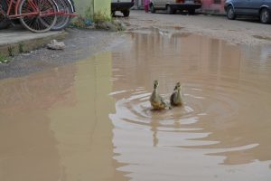 Bursa'da g&ouml;le d&ouml;nen yollar &ouml;rdeklere kaldı!