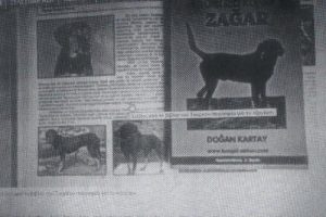 Yunanistan'a 'zağar' k&ouml;peği tepkisi