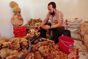 Son s&uuml;ngerci yeni sezona hazır