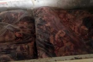 Satışa hazır halde, tam 5 ton ele ge&ccedil;irildi!