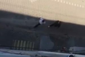 &Ccedil;ığlıkları fayda etmedi: Cinayet anında yaşananlar kamerada