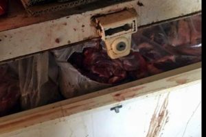 Serbest kaldı, domuz eti alan kasapları teşhirle tehdit etti