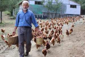 Bursa'da bu yumurtalar yok satıyor