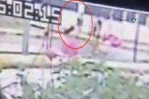Fatma &ouml;ğretmenin cesedi valizle b&ouml;yle taşınmış