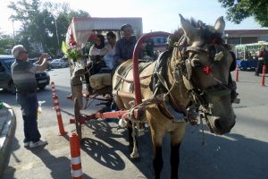 Bursa'da faytonlar b&uuml;y&uuml;k ilgi g&ouml;r&uuml;yor