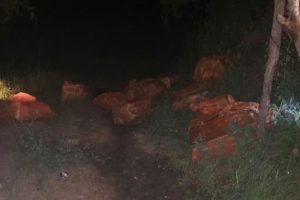 Yer altında t&uuml;nellerinde ele ge&ccedil;irildi! Tamamı PKK'ya ait!