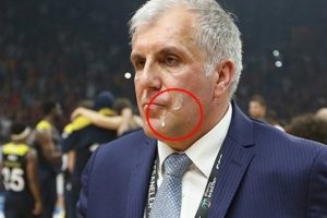 Obradovic'e t&uuml;k&uuml;ren taraftardan ilk a&ccedil;ıklama