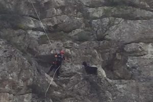Kayalıklarda mahsur kalan ke&ccedil;ileri AFAD ekibi kurtardı