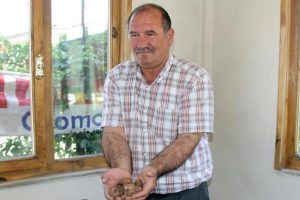 Erzincan'da yabani orkide toplayan 8 kişiye şok!