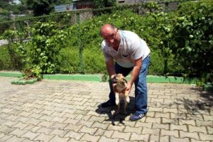 Ziftten kurtarılan k&ouml;pek sahiplendirildi