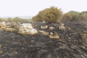 Afrodisias Antik Kenti'nde korkutan yangın