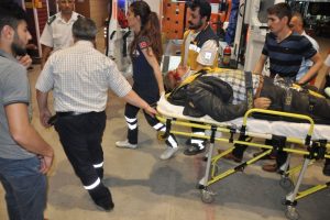 Bursa'da korkun&ccedil; kaza! At ve s&uuml;r&uuml;c&uuml;s&uuml;n&uuml; bi&ccedil;ti!