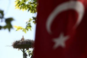 Bursa Karacebey'de Uluslararası Leylek Festivali başladı
