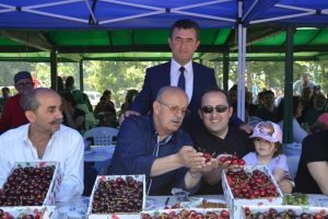 Bursa'da İznik kirazı g&ouml;r&uuml;c&uuml;ye &ccedil;ıktı
