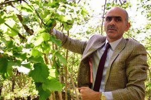 ABD'de a&ccedil;ıklanan fındık rekoltesine tepki g&ouml;sterdi