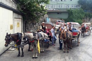 Bursa'da fayton keyfi yaşatılıyor