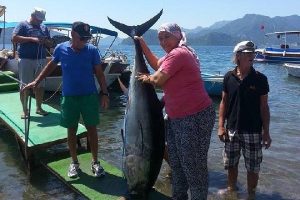 Kadın muhtar, boyundan b&uuml;y&uuml;k orkinosu oltayla yakaladı