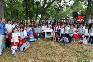 Bursa'da minik kuşlara yeni yuva