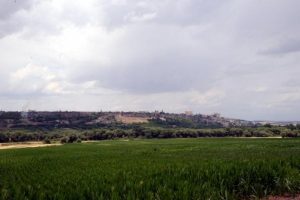 UNESCO listesindeki Hevsel Bah&ccedil;eleri'nde uyuşturucu operasyonu
