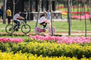 Bursa'da bug&uuml;n hava durumu nasıl olacak? (09.06.2016)