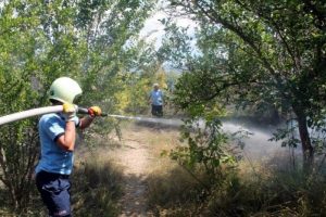 Mersin'de limon bah&ccedil;esinde &ccedil;ıkan yangında ağa&ccedil;lar k&uuml;l oldu