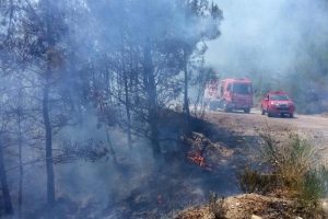 Dat&ccedil;a'da alevler 1 hektar kızıl&ccedil;am ormanını k&uuml;le &ccedil;evirdi