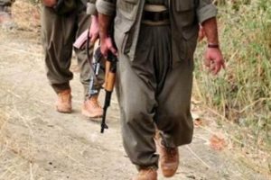 Van'da ter&ouml;r operasyonu! Saldırı hazırlığında yakalandılar
