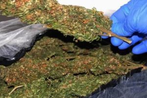 Yolcu otob&uuml;s&uuml;nde 10 kilo esrar ele ge&ccedil;irildi