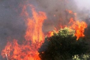 Cudi Dağı'nda 5 ayrı noktada yangın!
