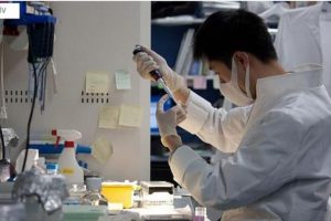 Bilim adamları CO2'yi taşa d&ouml;n&uuml;şt&uuml;rmeyi başardı