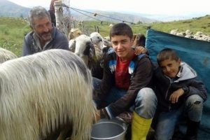 Koyun otlatırken &ccedil;alıştı, TEOG birincisi oldu