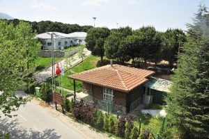 Bursa Yıldırım'da hayvan ve &ccedil;evre dostu proje