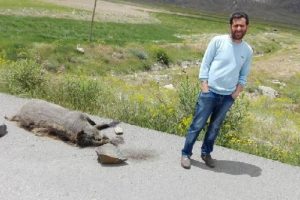 Domuzu işkenceyle &ouml;ld&uuml;r&uuml;p, fotoğraflarını paylaştılar