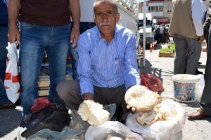 Dağlardan toplanan mantar gelir kapısı oldu
