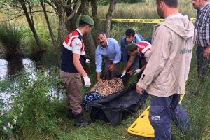 Sahurda evden &ccedil;ıkan kadının su dolu &ccedil;ukurda cesedi bulundu