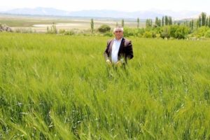 &Ccedil;ift&ccedil;iyi kuraklığın ardından bambul b&ouml;ceği vurdu