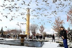 Google ger&ccedil;ekten &Ccedil;orum'u 'd&uuml;nyanın coğrafi merkezi' ilan etti mi?