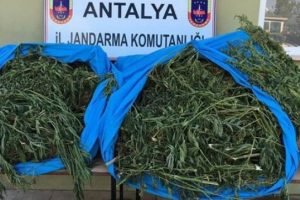Uyuşturucu zanlıları fotokapan ile yakalandı