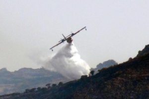 Alevler, Bodrum'da 24 saatte 250 hektarlık makilik alanı k&uuml;le &ccedil;evirdi
