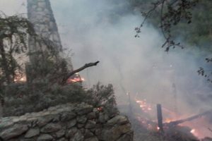 Bungalov evlerin bulunduğu koyda yangın &ccedil;ıktı