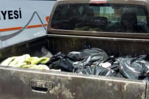&Ccedil;anakkale'de 328 kilo domuz eti ele ge&ccedil;irildi