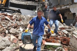 Bursa'da iş&ccedil;inin dikkati hayat kurtardı! Enkazdan 10 k&ouml;pek yavrusu &ccedil;ıktı