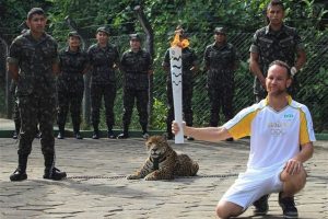 Brezilya'da ka&ccedil;an jaguar &ouml;ld&uuml;r&uuml;ld&uuml;!