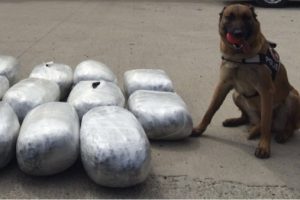 Batman'da 106 kilo esrar ele ge&ccedil;irildi